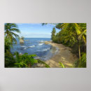 Search for wildlife posters Sea
