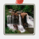 Search for west virginia christmas tree decorations Landscape