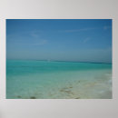 Search for anna posters Ocean