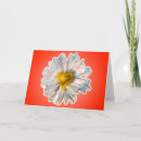 Search for mutter cards Mother