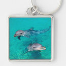 Search for water mammal key rings Dolphins