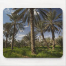 Search for tunisia mouse mats Landscape