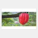 Search for cacao stickers Food