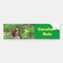 Search for spaniel bumper stickers Dog