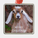 Search for farm animal christmas tree decorations Kid