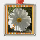 Search for cosmos christmas tree decorations Nature