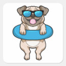 Search for dog swimming stickers Funny