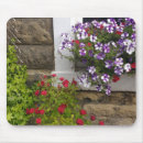 Search for rose window electronics Roses