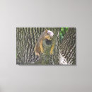 Search for funny squirrel art Cute