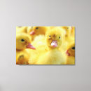 Search for duck nursery art Cute