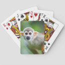 Search for monkey playing cards Close up