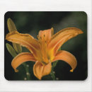 Search for day lily mouse mats Flower