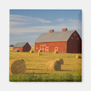 Search for farming magnets Landscape