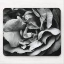 Search for rose macro electronics Romance