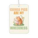 Search for pig car air fresheners Rodent