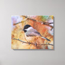 Search for chickadees art Feather