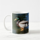Search for mallard duck mugs Waterfowl