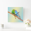 Search for budgie art Parakeets