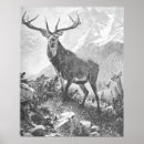 Search for buck and doe posters Hunter