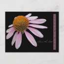 Search for coneflower invitations Nature