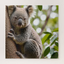 Search for koala puzzles Nature
