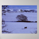 Search for snow covered fields Cold temperature
