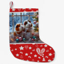 Search for pig christmas stockings Rodent