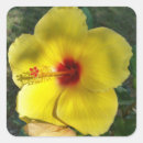 Search for sealers envelope seals Flower