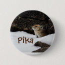 Search for chipmunks accessories Wildlife