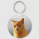 Search for ginger cat key rings Animals
