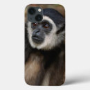 Search for mammal ipad cases Animal