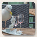 Search for empty coasters Glass