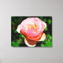 Search for fuschia art Flower