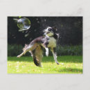 Search for bubble border postcards Dog