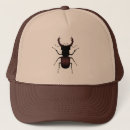 Search for beetle hats Insect