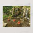 Search for blarney horizontal postcards Ireland
