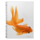 Search for ocean creature notebooks Animal
