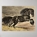 Search for stallion horses posters Country