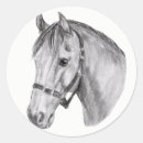 Search for horse head stickers Drawing