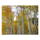 Search for fall winter posters Yellow