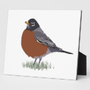 Search for digital a plaques Bird