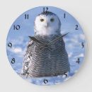Search for wildlife clocks Adorable