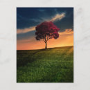 Search for red hill postcards Sky