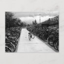 Search for solo Photography