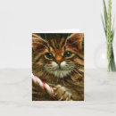 Search for candy coloured cards Cat
