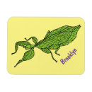 Search for insect magnets Cartoon