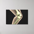 Search for knee art Anatomy