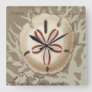 Search for seaside clocks Seashells