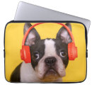 Search for bostons electronics Puppy