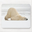 Search for polar bear mouse mats Humour